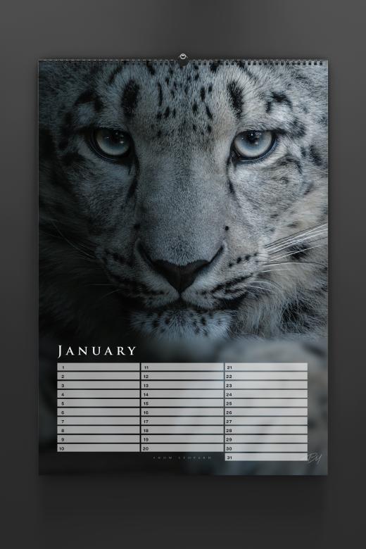 Birthday calendar 2024 by Pascal Maranus