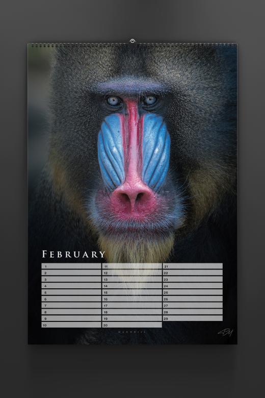 Birthday calendar 2024 by Pascal Maranus