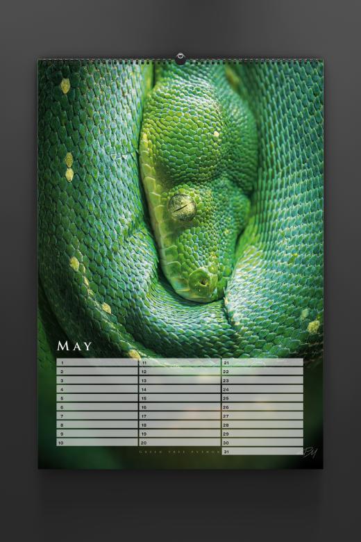 Birthday calendar 2024 by Pascal Maranus