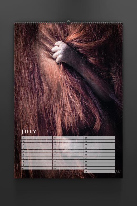 Birthday calendar 2024 by Pascal Maranus