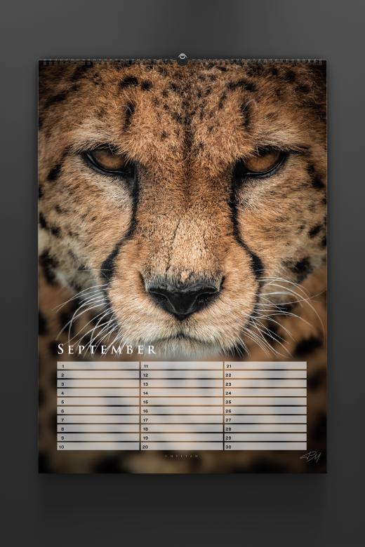 Birthday calendar 2024 by Pascal Maranus