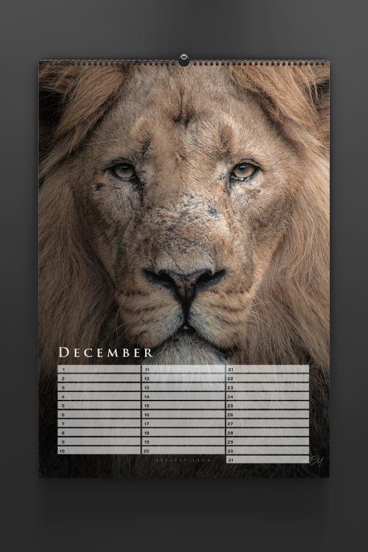 Birthday calendar 2024 by Pascal Maranus